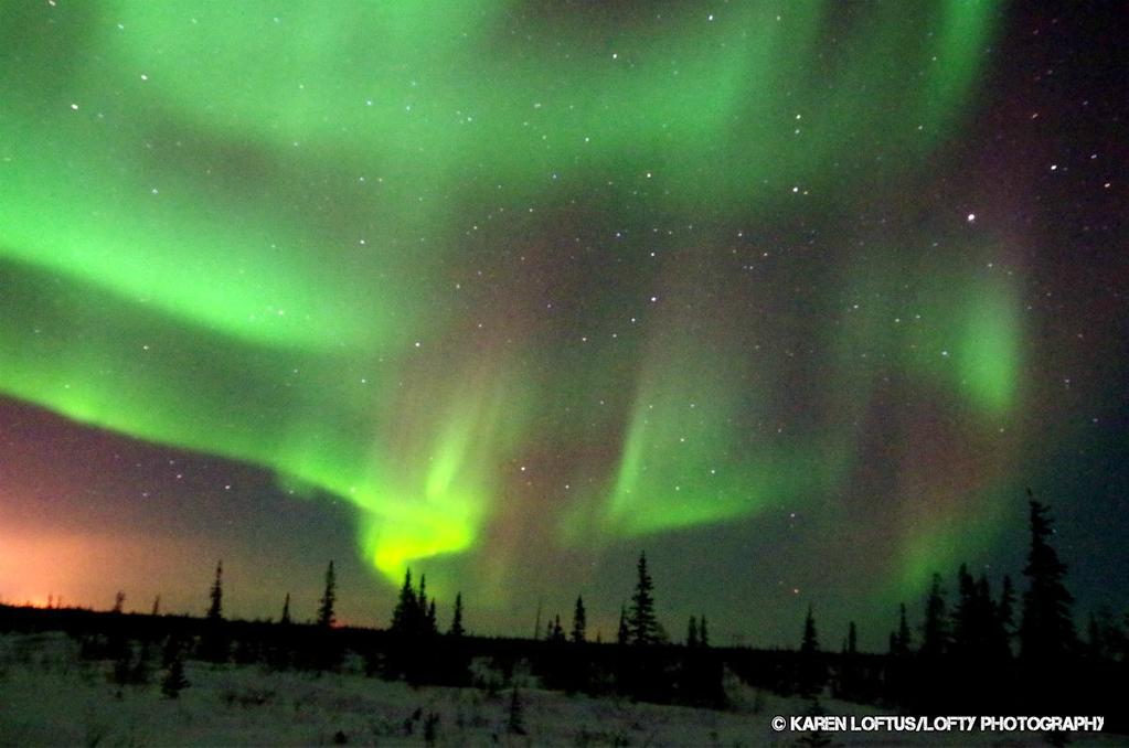 Polar lights caused by protons in solar
