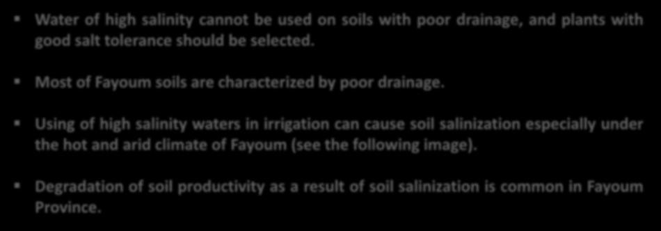 19 Salinity problem in Fayoum Water of high salinity cannot be used on soils with poor drainage, and plants with good salt