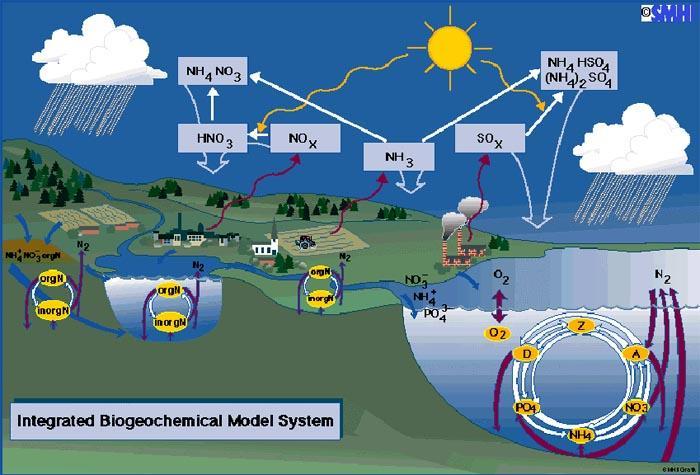 Environmental Material Cycling Involves TRANSFORMATION In the water cycle it is