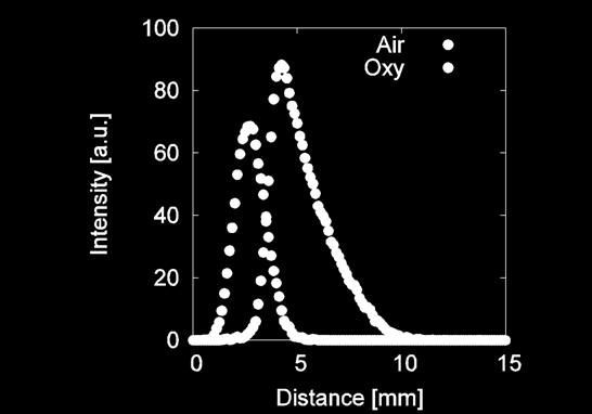 Measured profiles of OH * chemiluminescence