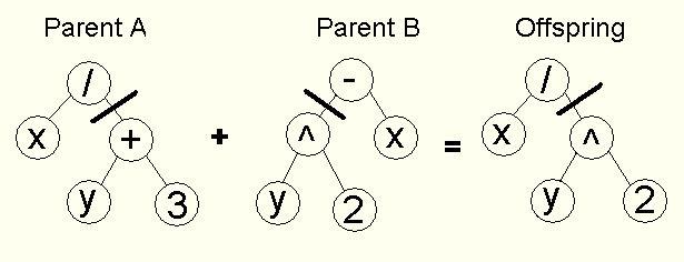 Genetic operators Crossover (recombination) Single point crossover: one crossover point is selected, till this point the permutation is copied from the first parent, then the second parent is scanned
