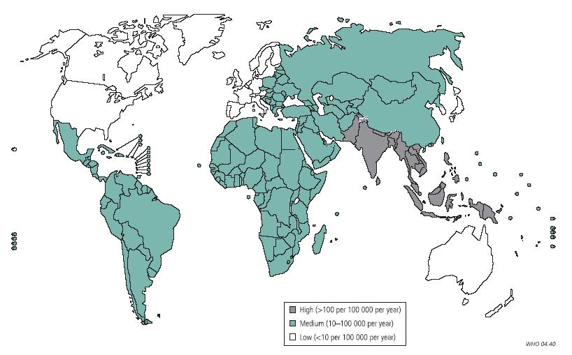 Global Burden of Typhoid Fever Crump et al, 2004, Bulletin of WHO Ivanoff et al.