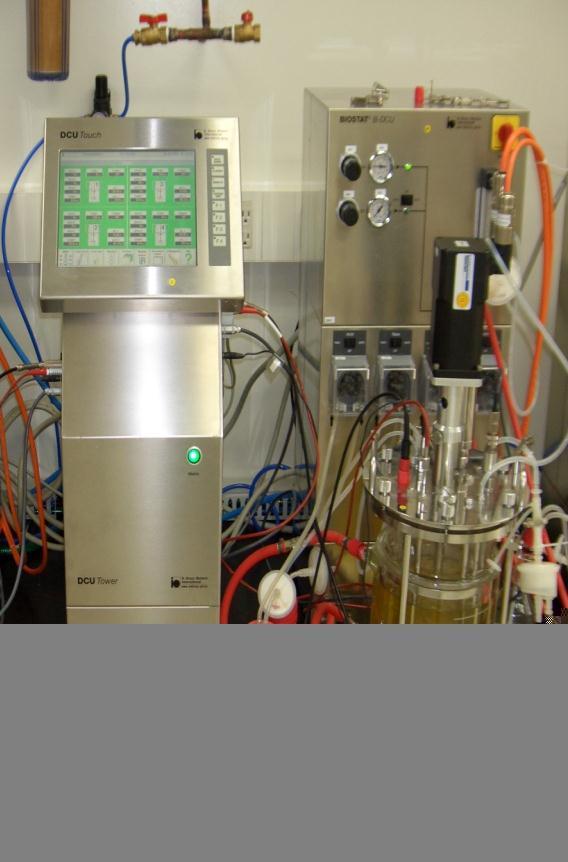 Optimize production of Vi during growth in Bioreactor