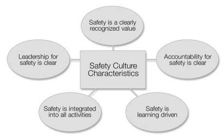 Each one of these safety culture characteristics has descriptive attributes that have been identified as essential for achieving a strong safety culture. IAEA Safety Guide GS-G-3.