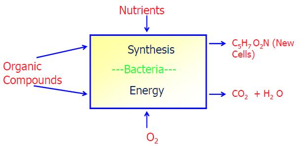 reaction to produce CO 2 and H 2 O CO 2 used for synthesis of