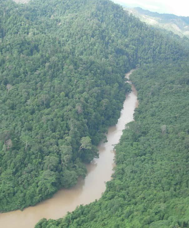 Limbang Dam Site (150MW) Feasibility Study already commenced