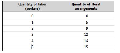 d. If labor costs are rising over time on average, why would a company want to adopt equipment and methods that increase labor productivity? 14.