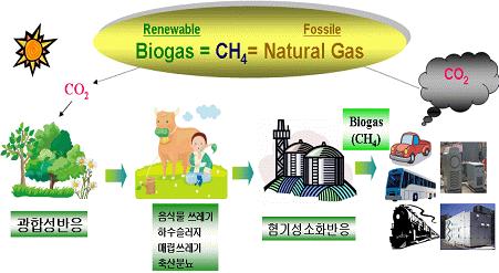 4. Waste to energy technologies Organic waste to energy Bio-gas Bio-gas is made by livestock manure, food waste, sewage sludge, organic MSW(Municipal Solid Waste), and organic industrial