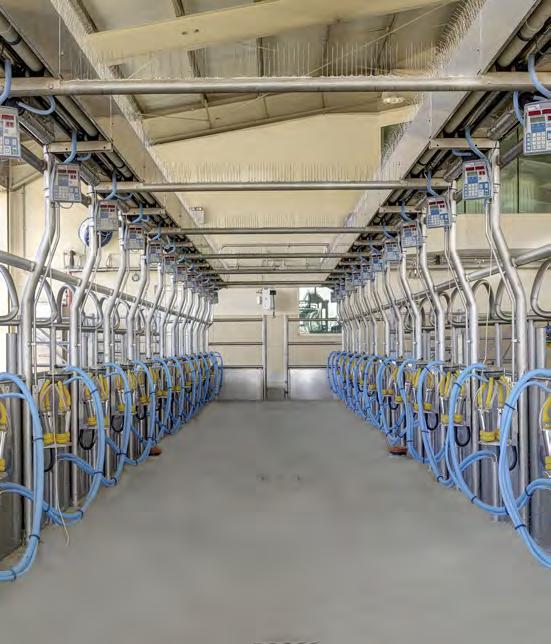 CAMEL MILKING SYSTEMS Fullwood Ltd has been involved in the development and manufacture of camel milking