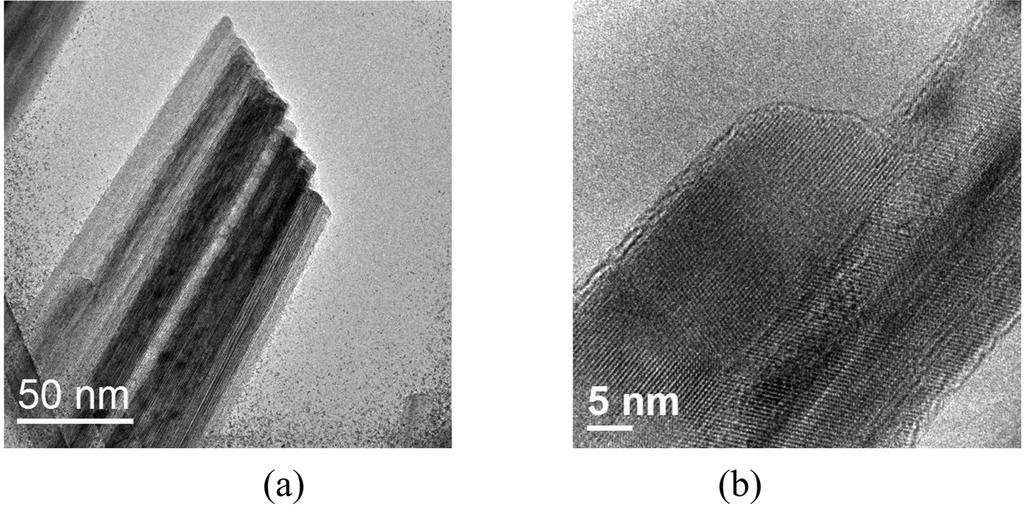 The large faceted particle is not a single crystal, but a composite of nanowhiskers in two orthogonal directions. Most nanowhiskers were found to form bundle in three-dimension as shown in Fig.