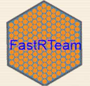 Monti Fast Reactor Technology Development Team Nuclear Power