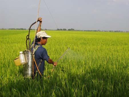 In spite of the unfavorable external environment of low commodity prices, agricultural growth in Vietnam over past five years has been sustained at 4% a year.