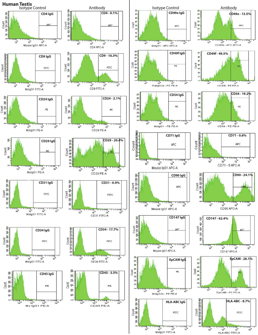 Supplemental Figure 1A: Histograms from flow cytometry demonstrating the percentage of human testicular cells that stained positively for