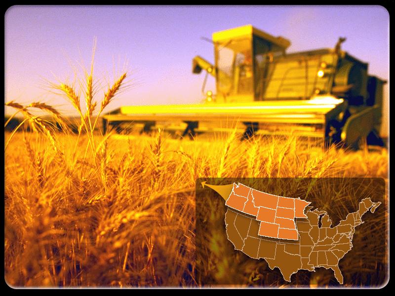 Wheat #1 gateway in the U.S.