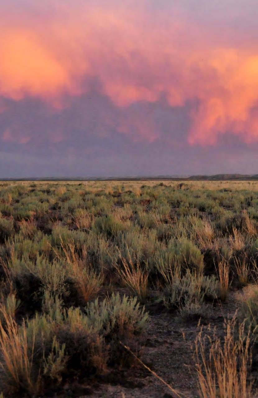 KEY COMPONENTS The land management plan amendments include other components to help maintain, restore, and enhance the greater sage-grouse by eliminating or minimizing threats to its habitat.