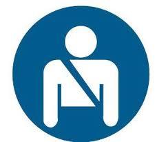 Item 12: Wear a seat belt (where fitted) Seat belts