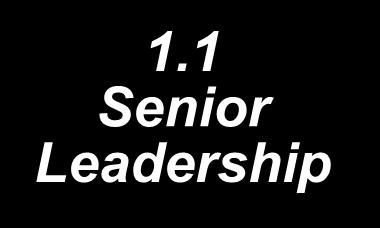 Leadership 1.1 Senior Leadership 1.