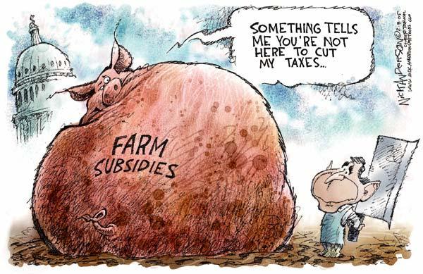 Prospects for change Greater transparency than ever about US farm programs Some commodity groups pre-empting pressure for reform, e.g., Iowa Corn Growers and revenue insurance Cracks in solidarity of farm groups, e.