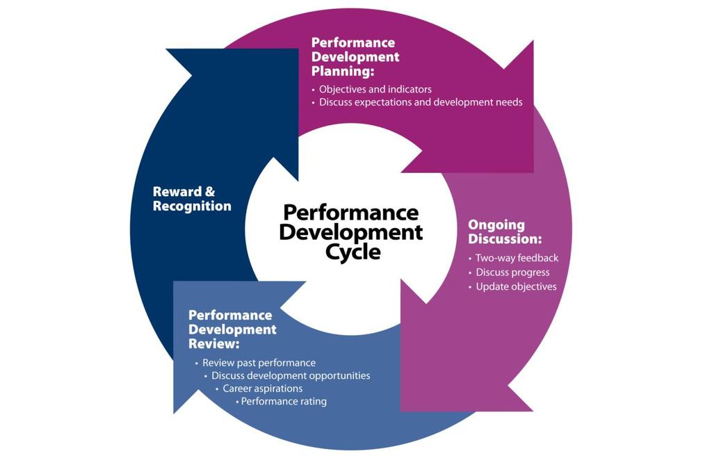 5. THE PROCESS The performance development process runs on a twelve month cycle with a minimum of one performance feedback discussion and one performance review discussion.