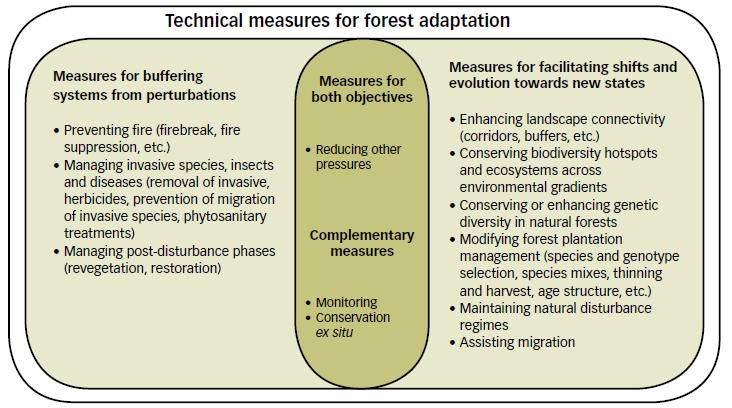 Measures for forest