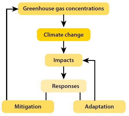 Strategies for climate change Mitigation and adaptation: Different objectives Mitigation: To