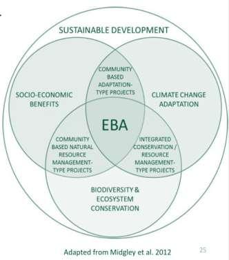 Evolution of Ecosystem-based Adaptation 2 Ecosystem-based approaches to adaptation involve the services that biodiversity and ecosystems provide to help people adapt to the adverse effects of climate
