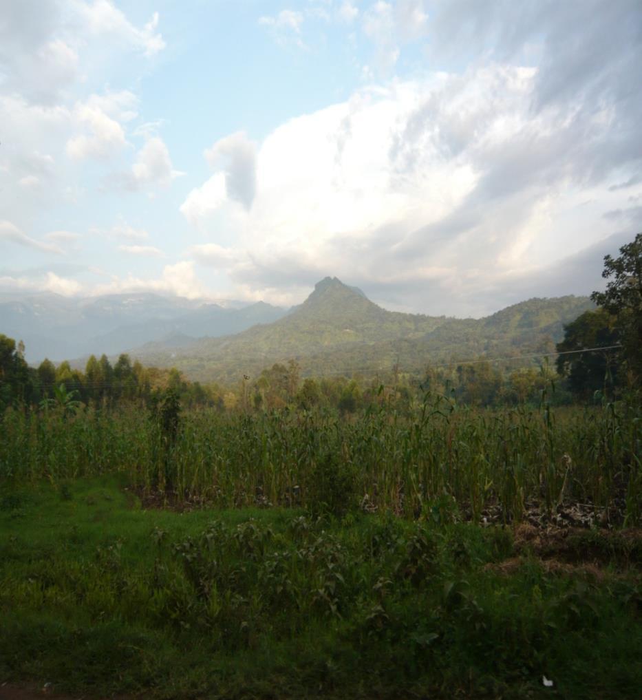 Uganda Mt Elgon