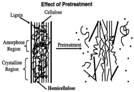 Pretreatment of lignocellulose Fibres: pulp, paper, building materials Dissolving cellulose: textile Sugars: molecules for conversion Make the polysaccharides accessible to catalysts Using low/high