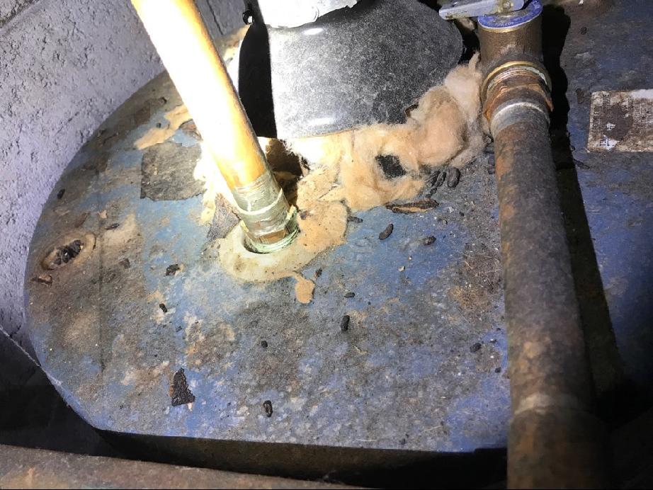 rodent problems will not ocurr, especially if gaps exist in the structure A full rodent exclusion service is recommended for this structure A full exclusion is the only repair method that will