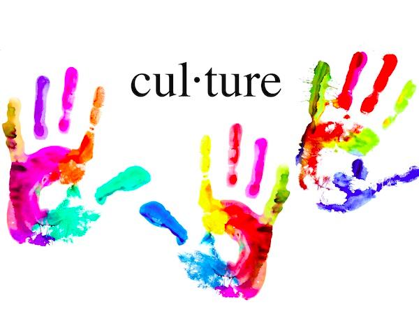 The Virtual Culture The virtual culture is in many ways the most radical of the six cultures as it represents a significant change in the role of higher education in a globalized world.