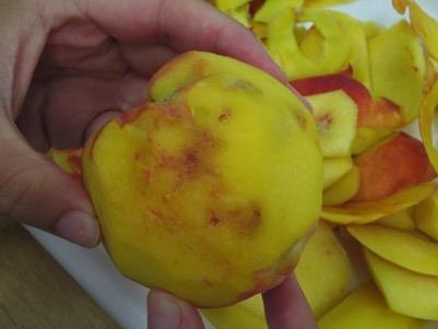 Mean number of damaged fruit per sample Peach Damage at Harvest 10 9 8 7 * Catfacing 6 5 4