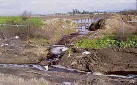 runoff has made many local groundwater reserves