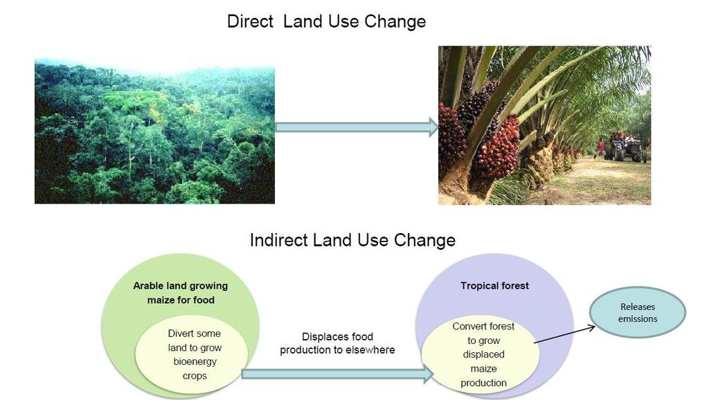 Land use change emissions