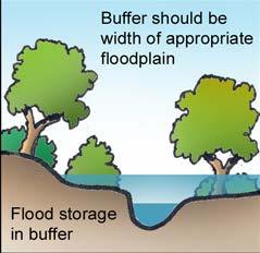 Hydrologic Flood Height Calculation Research by Ilhardt et al. (2000) determined 50 year flood plain as optimal hydrologic descriptor for riparian zones.