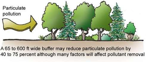 Interception Image credit: USDA National Agroforestry Centre Woodland canopies can provide a barrier to airborne pollutants such as ammonia and pesticides.