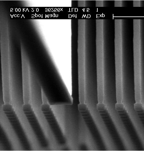 The rods are 5 μm long and have a 2 μm thick a-si top section to confine the light vertically. The remaining photoresist is clearly visible on top of the pillars.