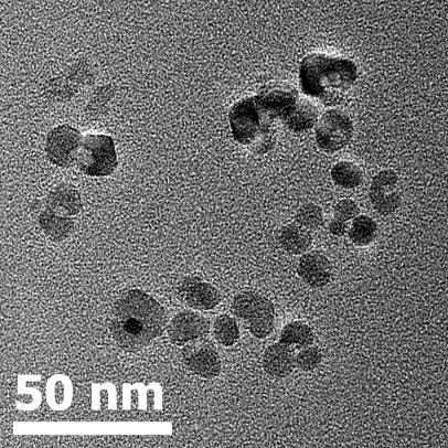 The hollow nanoparticles are