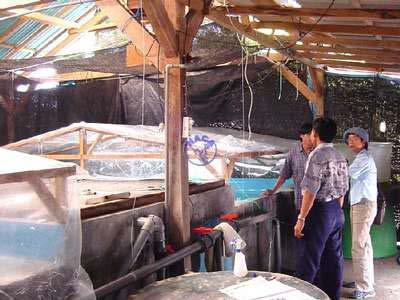 Criteria and features: (small-scale aquaculture) Definitions of rural aquaculture although vary, they still tend