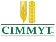 Bill & Melinda Gates Foundation grant to Cornell University & CIMMYT to implement a pilot project on genomic selection in wheat & maize breeding programs USDA Cooperative