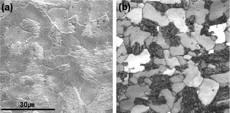 84 Suk Hoon Kang et al. Figure 1. a: Scanning electron microscope micrograph and ~b! electron back-scattered diffraction band contrast of Fe 1.3Mn 0.3C dual-phase steel.