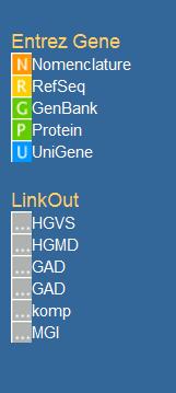 amino acids compared. Sometimes one sequence must be cut and a gap introduced (denoted by -), in order to make this sequence align in the optimal way with the other sequence.