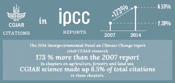 STEP 5Inform global policies and processes Global policies and processes need to provide incentives for climate-smart agriculture.