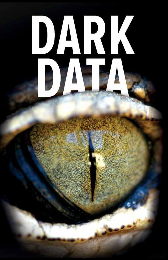 According to a recent study, more than 80% of all data is dark - inaccessible and unstructured. That same study estimates that number will rise to 93% by 2020.