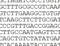 --ATGTCTATGATC--GAGGATATTAGGATAT- Mutations 3 Genome Sequencing Machine Find the causal mutation
