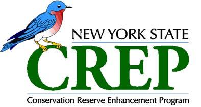 Site Evaluation & Environmental Benefits Report Background The New York State Conservation Reserve Enhancement Program is a collaborative effort between the USDA and the State of New York.