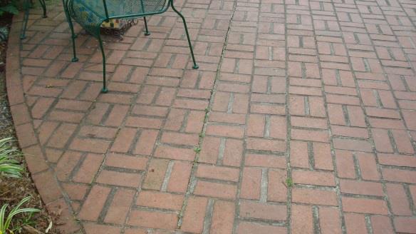 Brick Patio: Presently brick un-level and of various colors due to addition of brick over time.