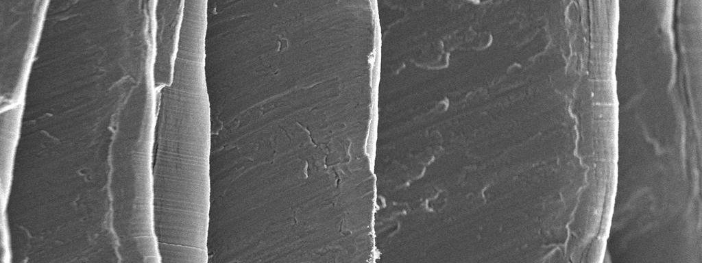 Izgled slobodne površine strugotine nastale pri obradi novim alatom i alatom sa razvijenim kraterom na grudnoj površini prikazan je na slici 3 i 4.
