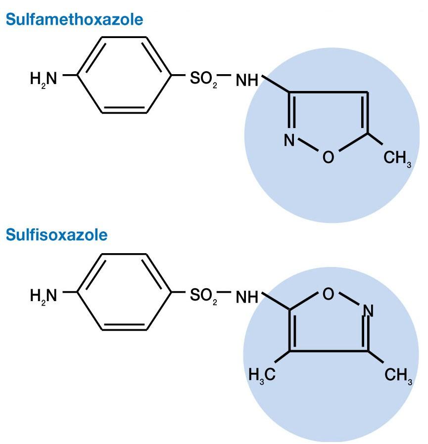Sulfonamides or Sulfa Drugs Structurally related to sulfanilamide, a p- aminobenzoic acid (PABA) analog used for the