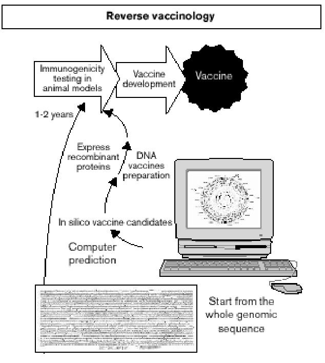 Vaccinomics- The Omics study of vaccine To