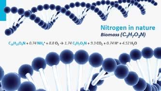 You might recognize that nitrogen is part of the overall molecular formula of biomass generally expressed by this